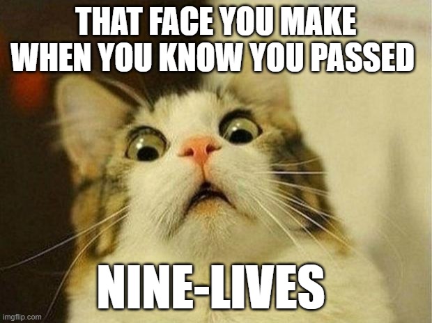 Scared Cat Keep Going | THAT FACE YOU MAKE WHEN YOU KNOW YOU PASSED; NINE-LIVES | image tagged in memes,scared cat,cats,cat,funny cat memes,derp cat | made w/ Imgflip meme maker