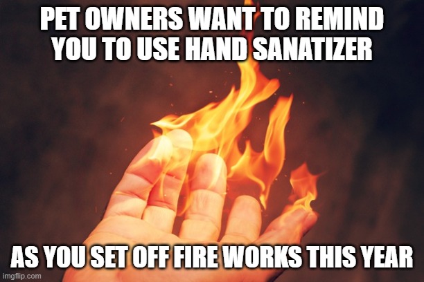inconsiderate fireworks | PET OWNERS WANT TO REMIND YOU TO USE HAND SANATIZER; AS YOU SET OFF FIRE WORKS THIS YEAR | image tagged in firworks and pets,don't be a jerk,ptsd | made w/ Imgflip meme maker