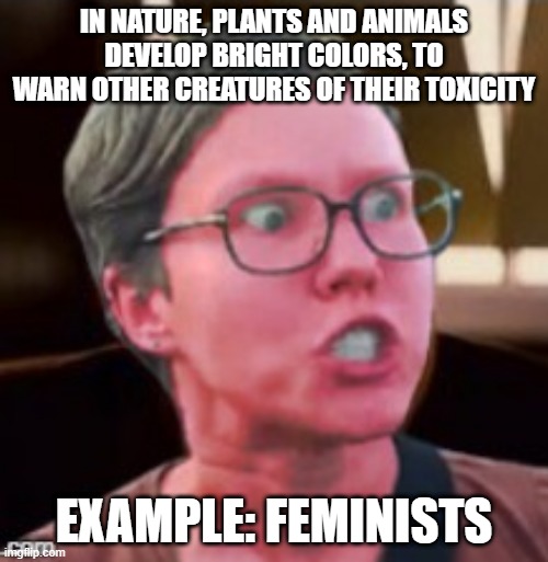 Warning! | IN NATURE, PLANTS AND ANIMALS DEVELOP BRIGHT COLORS, TO WARN OTHER CREATURES OF THEIR TOXICITY; EXAMPLE: FEMINISTS | image tagged in angry feminist red | made w/ Imgflip meme maker