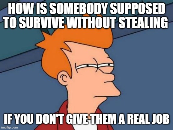 Futurama Fry | HOW IS SOMEBODY SUPPOSED TO SURVIVE WITHOUT STEALING; IF YOU DON'T GIVE THEM A REAL JOB | image tagged in memes,futurama fry | made w/ Imgflip meme maker