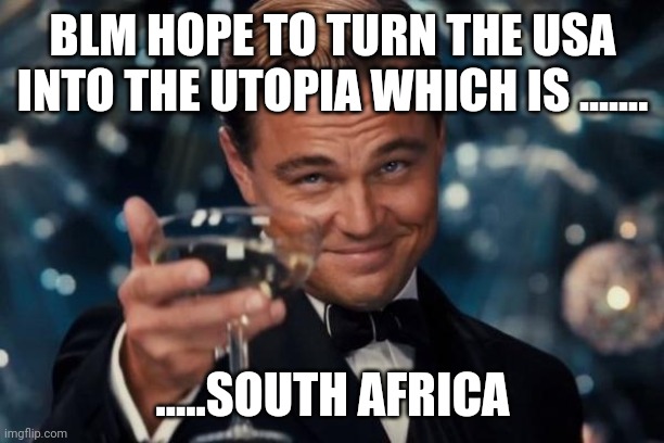 Leonardo Dicaprio Cheers | BLM HOPE TO TURN THE USA INTO THE UTOPIA WHICH IS ....... .....SOUTH AFRICA | image tagged in memes,leonardo dicaprio cheers | made w/ Imgflip meme maker