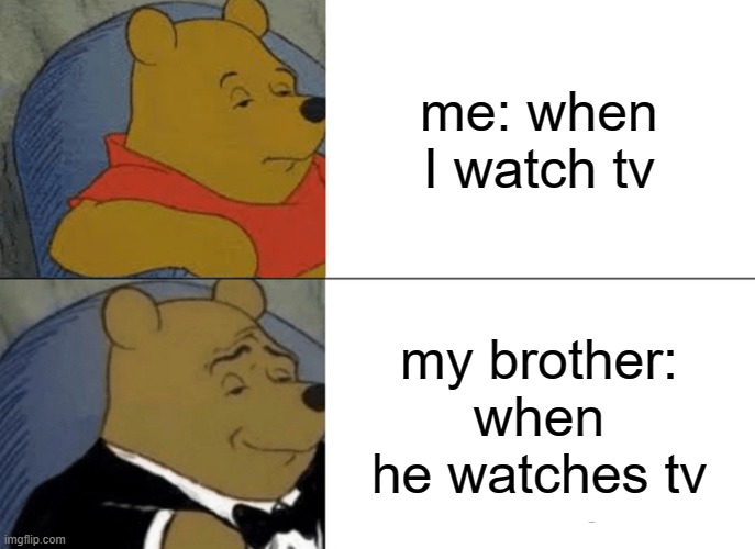 Tuxedo Winnie The Pooh Meme | me: when I watch tv; my brother: when he watches tv | image tagged in memes,tuxedo winnie the pooh | made w/ Imgflip meme maker