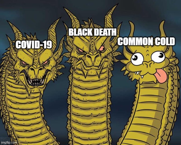 Three dragons | BLACK DEATH; COMMON COLD; COVID-19 | image tagged in three dragons | made w/ Imgflip meme maker