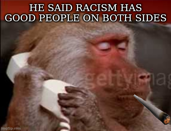 Can I take a message | HE SAID RACISM HAS GOOD PEOPLE ON BOTH SIDES | image tagged in can i take a message | made w/ Imgflip meme maker