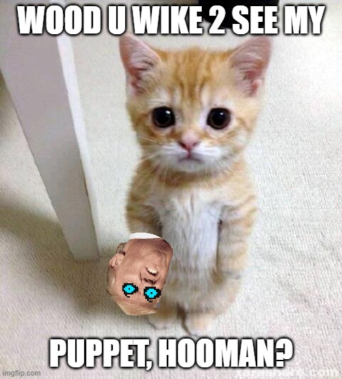 Cute Cat | WOOD U WIKE 2 SEE MY; PUPPET, HOOMAN? | image tagged in memes,cute cat | made w/ Imgflip meme maker
