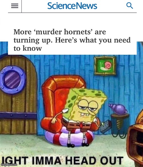 Spongebob Ight Imma Head Out Meme | image tagged in memes,spongebob ight imma head out,murder hornet,news,science,ight imma head out | made w/ Imgflip meme maker