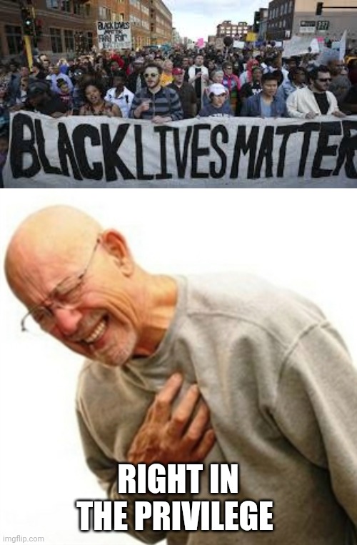BLM and Science is real | RIGHT IN THE PRIVILEGE | image tagged in memes,right in the childhood,black lives matter | made w/ Imgflip meme maker
