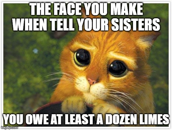 Amy's Predicament | THE FACE YOU MAKE WHEN TELL YOUR SISTERS; YOU OWE AT LEAST A DOZEN LIMES | image tagged in memes,shrek cat,little women,louisa may alcott | made w/ Imgflip meme maker