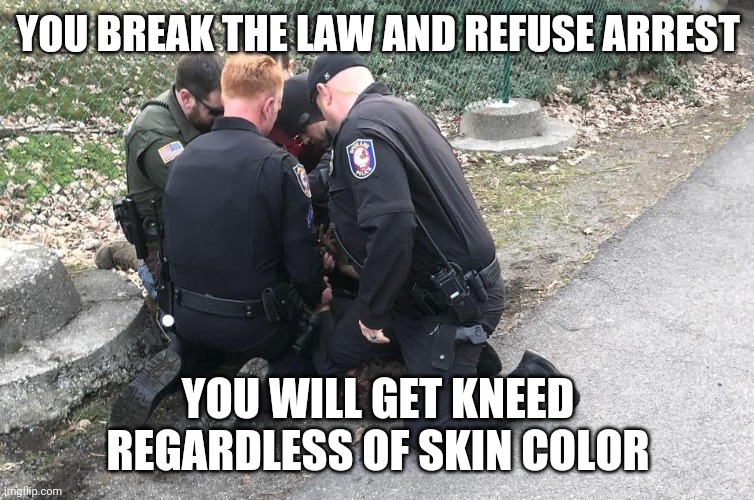 True hurst | YOU BREAK THE LAW AND REFUSE ARREST; YOU WILL GET KNEED REGARDLESS OF SKIN COLOR | image tagged in refuse arrest get kneed | made w/ Imgflip meme maker