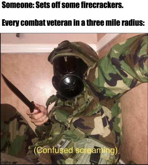 Happy Independence Day! | Someone: Sets off some firecrackers.
 
Every combat veteran in a three mile radius: | image tagged in confused screaming but with gas mask | made w/ Imgflip meme maker