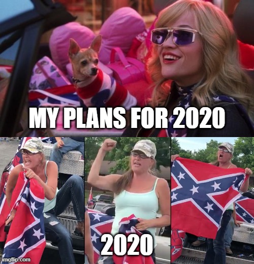 Makes me want a hot dog ... real bad | MY PLANS FOR 2020; 2020 | image tagged in 2020,legally blond,4th of july,independence day,elle woods,reese witherspoon | made w/ Imgflip meme maker