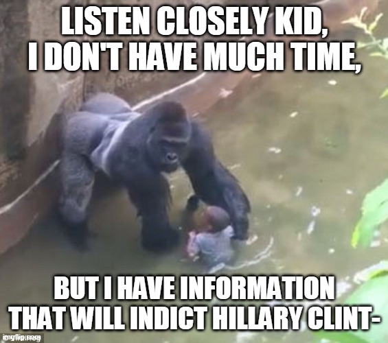 Harambe | LISTEN CLOSELY KID, I DON'T HAVE MUCH TIME, BUT I HAVE INFORMATION THAT WILL INDICT HILLARY CLINT- | image tagged in harambe | made w/ Imgflip meme maker