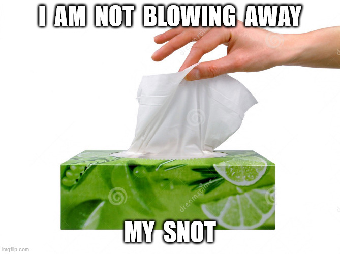 The long-awaited Hamilton sequel |  I  AM  NOT  BLOWING  AWAY; MY  SNOT | image tagged in kleenex | made w/ Imgflip meme maker