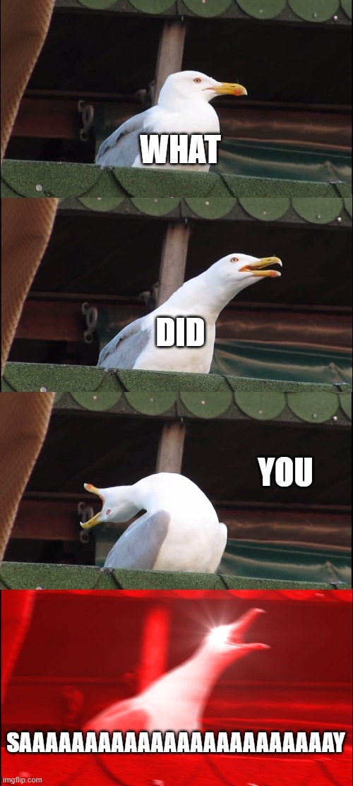 when I'm a big level and npcs still talk trash | WHAT; DID; YOU; SAAAAAAAAAAAAAAAAAAAAAAAAY | image tagged in memes,inhaling seagull | made w/ Imgflip meme maker