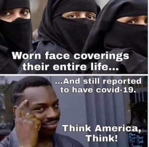 Think America, THINK! | image tagged in the mask,covidiots,coronavirus,coronavirus body suit,coronavirus meme,sheeple | made w/ Imgflip meme maker