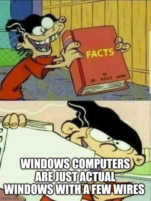 Double d facts book  | WINDOWS COMPUTERS ARE JUST ACTUAL WINDOWS WITH A FEW WIRES | image tagged in double d facts book | made w/ Imgflip meme maker