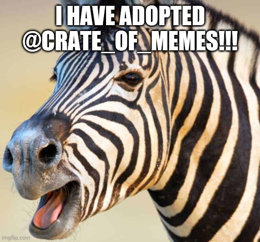 Happy Zebra | I HAVE ADOPTED @CRATE_OF_MEMES!!! | image tagged in happy zebra | made w/ Imgflip meme maker