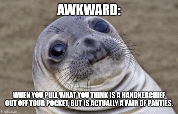 Awkward Moment Sealion Meme | AWKWARD:; WHEN YOU PULL WHAT YOU THINK IS A HANDKERCHIEF OUT OFF YOUR POCKET, BUT IS ACTUALLY A PAIR OF PANTIES. | image tagged in memes,awkward moment sealion | made w/ Imgflip meme maker