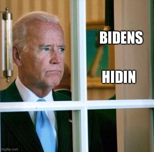 Bidens Hidin | BIDENS; HIDIN | image tagged in sad joe biden,hide joe | made w/ Imgflip meme maker