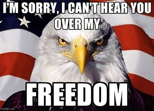 Happy 4th!!! | image tagged in fourth of july,bald eagle | made w/ Imgflip meme maker
