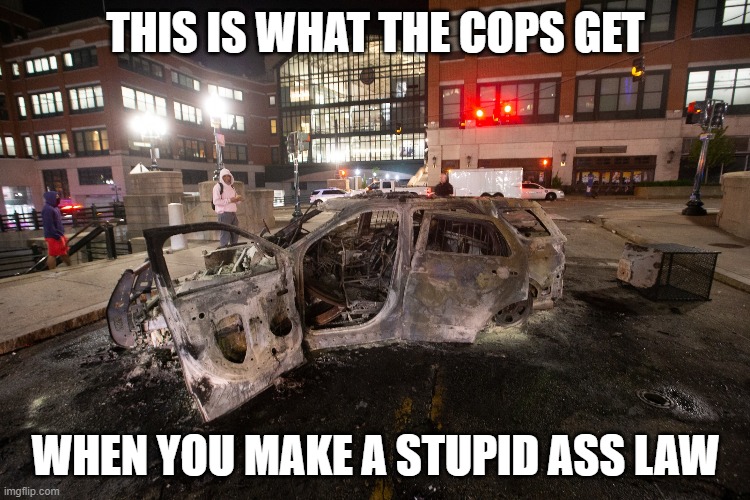 Providence Police Car Burned | THIS IS WHAT THE COPS GET; WHEN YOU MAKE A STUPID ASS LAW | image tagged in providence police car burned | made w/ Imgflip meme maker