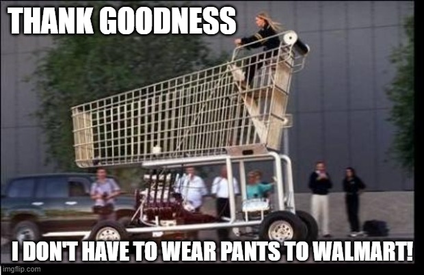 Shopping cart | THANK GOODNESS I DON'T HAVE TO WEAR PANTS TO WALMART! | image tagged in shopping cart | made w/ Imgflip meme maker