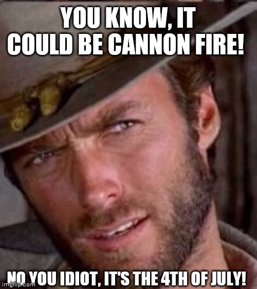 HUH? | YOU KNOW, IT COULD BE CANNON FIRE! NO YOU IDIOT, IT'S THE 4TH OF JULY! | image tagged in 4th of july | made w/ Imgflip meme maker