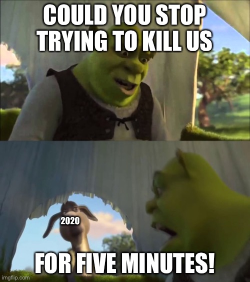 Shrek | COULD YOU STOP TRYING TO KILL US; FOR FIVE MINUTES! 2020 | image tagged in 2020,shrek | made w/ Imgflip meme maker