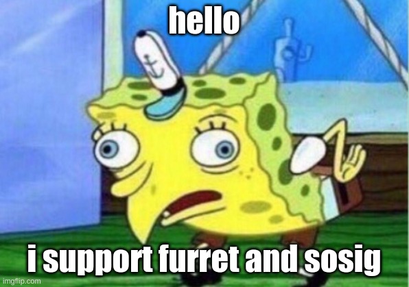 Mocking Spongebob | hello; i support furret and sosig | image tagged in memes,mocking spongebob | made w/ Imgflip meme maker