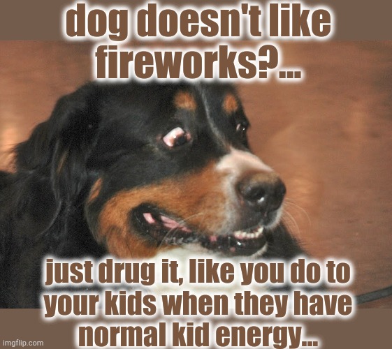 dog doesn't like
fireworks?... just drug it, like you do to
your kids when they have
normal kid energy... | image tagged in fireworks,dog,drugs,ptsd | made w/ Imgflip meme maker
