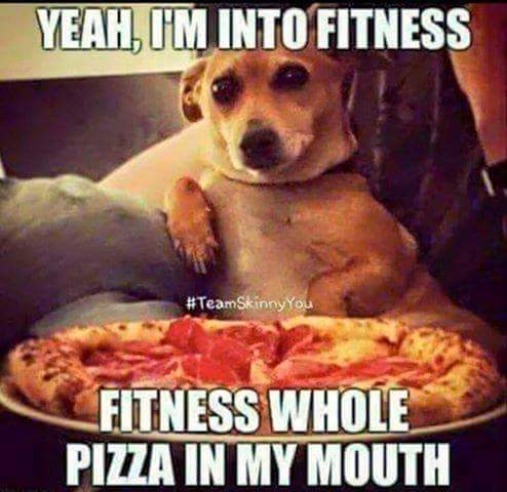 Fitness | image tagged in fitness,dogs,memes,fun,funny | made w/ Imgflip meme maker