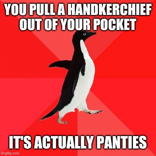 Socially Awesome Penguin Meme | YOU PULL A HANDKERCHIEF OUT OF YOUR POCKET IT'S ACTUALLY PANTIES | image tagged in memes,socially awesome penguin | made w/ Imgflip meme maker