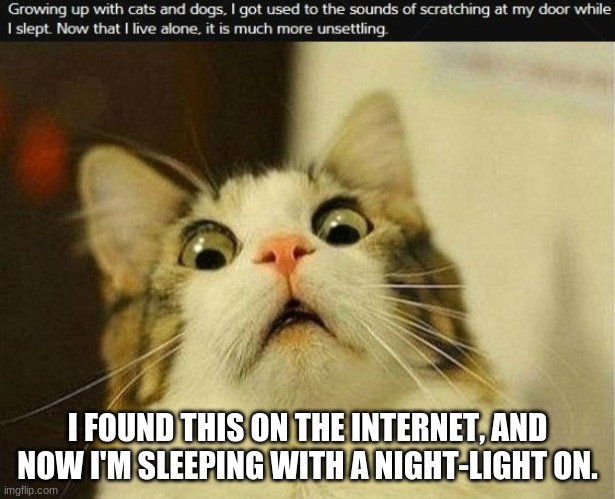 Who posted this, I wonder? | I FOUND THIS ON THE INTERNET, AND NOW I'M SLEEPING WITH A NIGHT-LIGHT ON. | image tagged in memes,scared cat | made w/ Imgflip meme maker