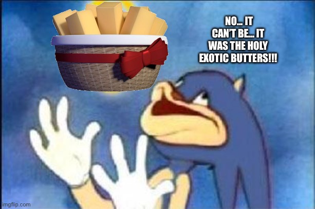 *you has found the holy exotic butters* | NO... IT CAN’T BE... IT WAS THE HOLY EXOTIC BUTTERS!!! | image tagged in sonic derp,memes,funny,exotic butters,fnaf sister location,holy grail | made w/ Imgflip meme maker