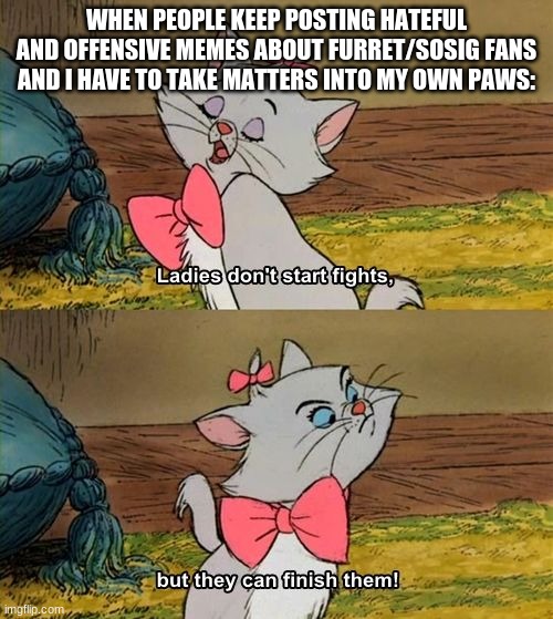 I won't argue with you, but I will report you if you continue, 'anonymous' | WHEN PEOPLE KEEP POSTING HATEFUL AND OFFENSIVE MEMES ABOUT FURRET/SOSIG FANS AND I HAVE TO TAKE MATTERS INTO MY OWN PAWS: | image tagged in ladies don't start fights but they can finish them | made w/ Imgflip meme maker