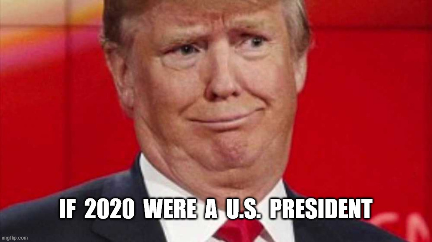 If 2020 Were A U.S. President | IF  2020  WERE  A  U.S.  PRESIDENT | image tagged in covid,trump,truth,funny | made w/ Imgflip meme maker