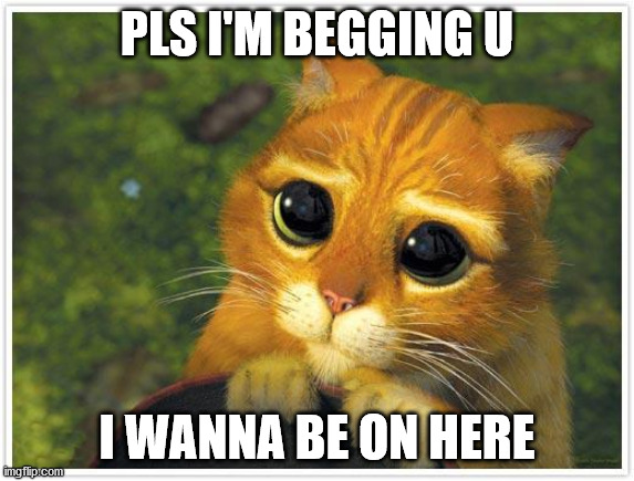 Shrek Cat Meme | PLS I'M BEGGING U I WANNA BE ON HERE | image tagged in memes,shrek cat | made w/ Imgflip meme maker