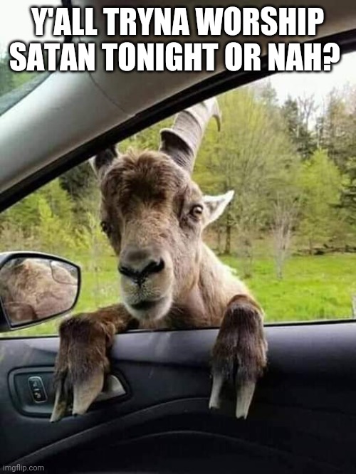 Devil goat | Y'ALL TRYNA WORSHIP SATAN TONIGHT OR NAH? | image tagged in satan goat,satan,goat | made w/ Imgflip meme maker