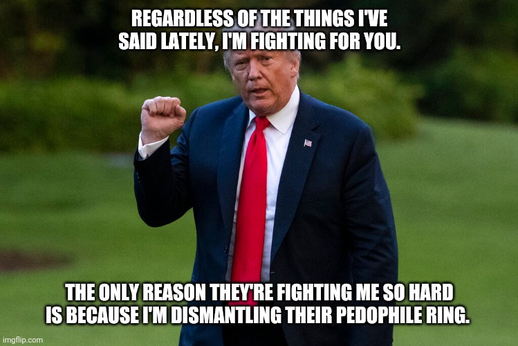 I'm fighting them for you | REGARDLESS OF THE THINGS I'VE SAID LATELY, I'M FIGHTING FOR YOU. THE ONLY REASON THEY'RE FIGHTING ME SO HARD IS BECAUSE I'M DISMANTLING THEIR PEDOPHILE RING. | image tagged in donald trump,pizzagate | made w/ Imgflip meme maker