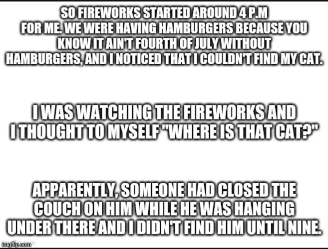 My poor baby | image tagged in cats,fourth of july,july 4th,blank white template | made w/ Imgflip meme maker