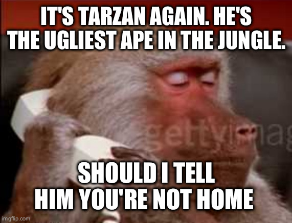 Can I take a message | IT'S TARZAN AGAIN. HE'S THE UGLIEST APE IN THE JUNGLE. SHOULD I TELL HIM YOU'RE NOT HOME? | image tagged in can i take a message | made w/ Imgflip meme maker