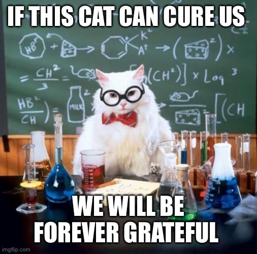 Chemistry Cat | IF THIS CAT CAN CURE US; WE WILL BE FOREVER GRATEFUL | image tagged in memes,chemistry cat | made w/ Imgflip meme maker