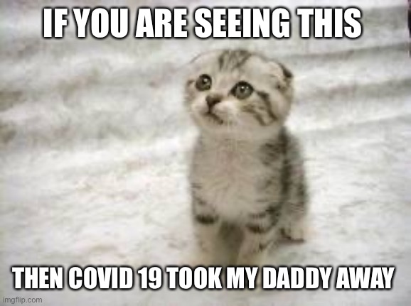 Sad Cat | IF YOU ARE SEEING THIS; THEN COVID 19 TOOK MY DADDY AWAY | image tagged in memes,sad cat | made w/ Imgflip meme maker