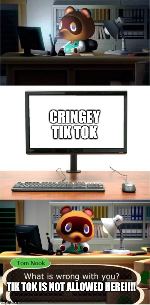 Tom Nook Does NOT Approve | CRINGEY TIK TOK; TIK TOK IS NOT ALLOWED HERE!!!! | image tagged in tom nook what is wrong with you | made w/ Imgflip meme maker