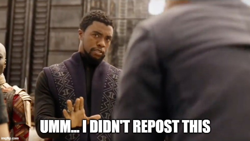 black panther | UMM... I DIDN'T REPOST THIS | image tagged in black panther | made w/ Imgflip meme maker