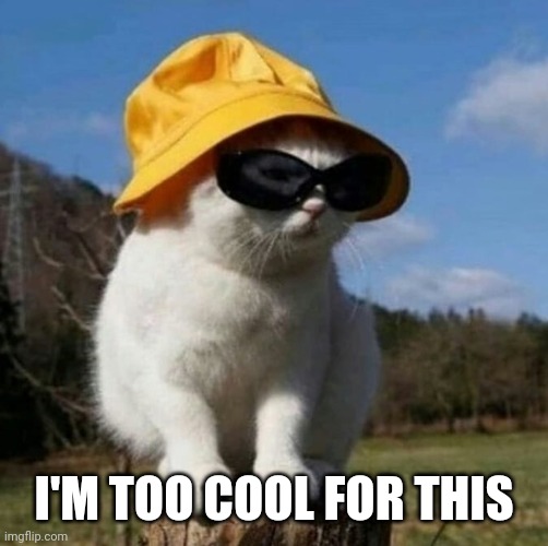I'M TOO COOL FOR THIS | image tagged in cats | made w/ Imgflip meme maker