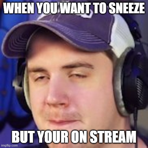 TBNRkenworth | WHEN YOU WANT TO SNEEZE; BUT YOUR ON STREAM | image tagged in fortnite | made w/ Imgflip meme maker