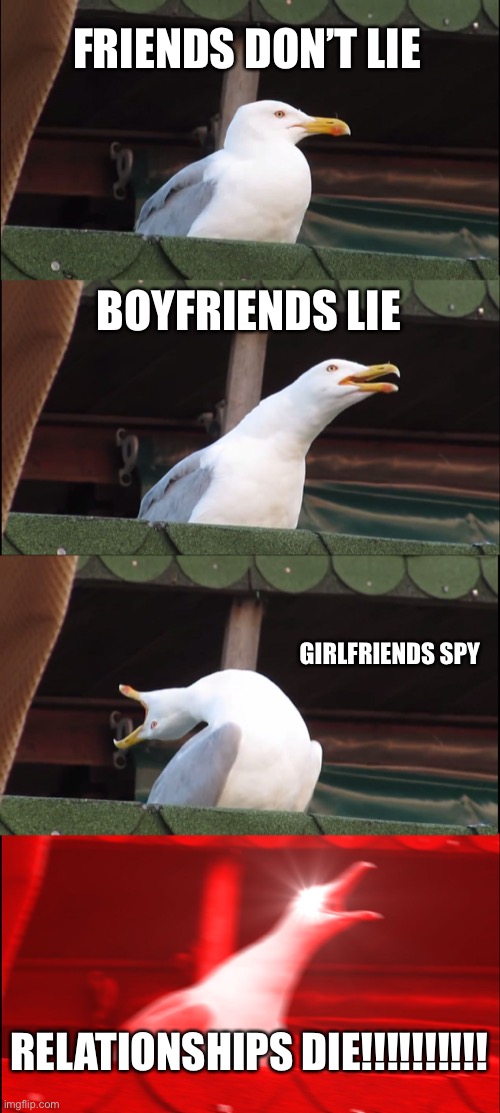 Stranger things relationships | FRIENDS DON’T LIE; BOYFRIENDS LIE; GIRLFRIENDS SPY; RELATIONSHIPS DIE!!!!!!!!!! | image tagged in memes,inhaling seagull | made w/ Imgflip meme maker