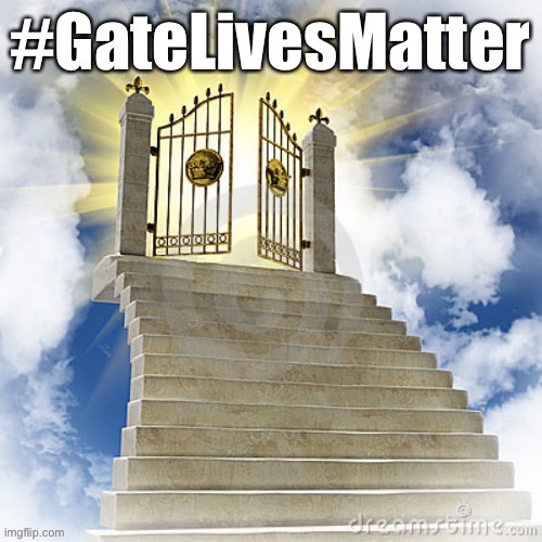 When they can’t see the forest for the gate. #GateLivesMatter #GateGate | image tagged in conservative logic,conservative hypocrisy,protestors,politics lol,black lives matter,blacklivesmatter | made w/ Imgflip meme maker