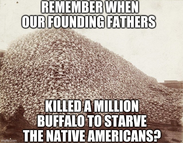 REMEMBER WHEN OUR FOUNDING FATHERS KILLED A MILLION BUFFALO TO STARVE THE NATIVE AMERICANS? | made w/ Imgflip meme maker